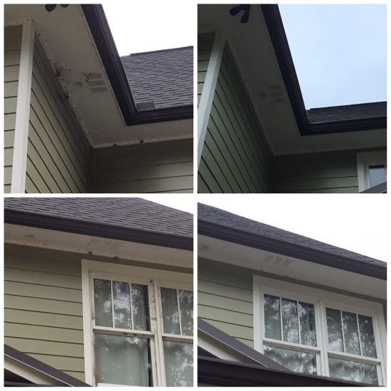 Soft Washing Service