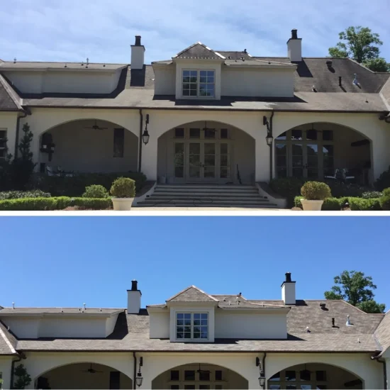 Professional Roof Cleaning Service