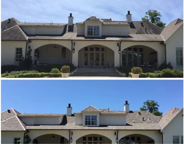 Professional Roof Cleaning Service